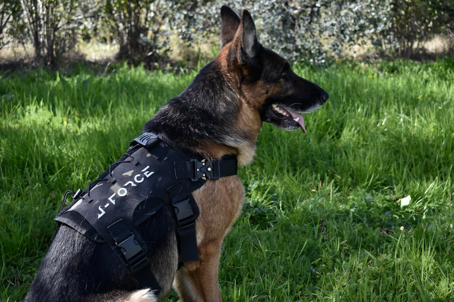 Tactical harness for medium and large dogs Military in the field