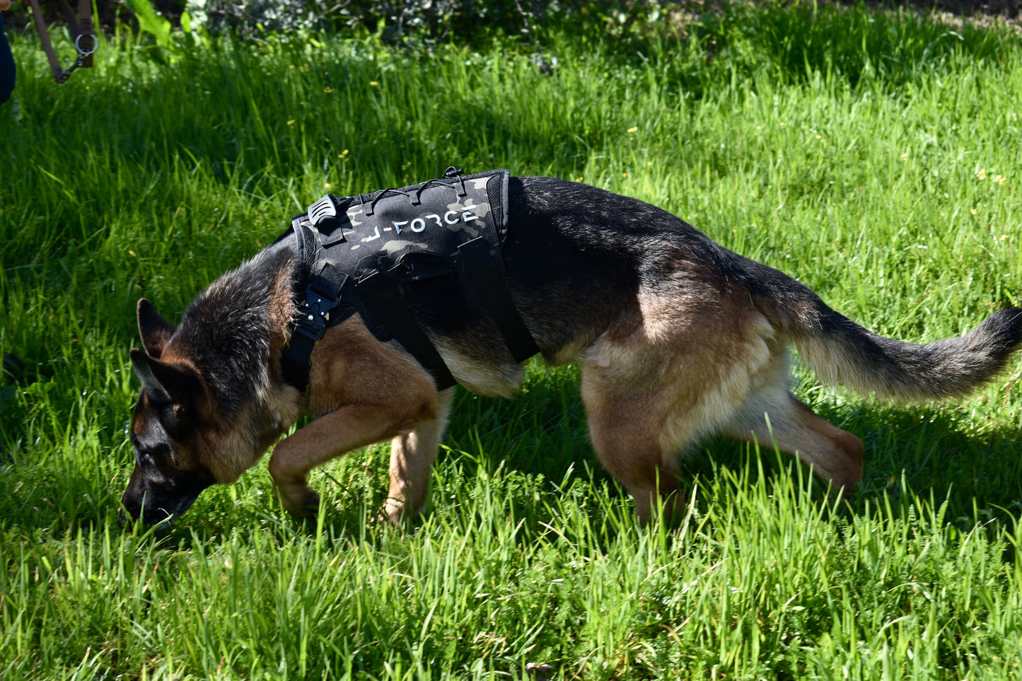 Tactical harness for medium and large dogs Military being used in the field